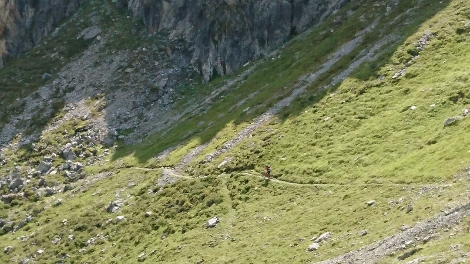 Bike Attack